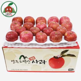 청송 사과 5kg (14-16과)
