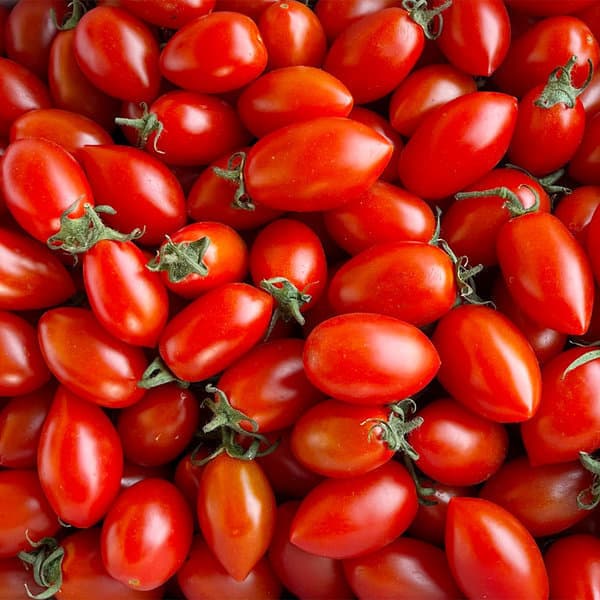 GAP 인증 방울토마토 1kg