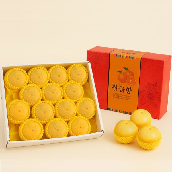 제주 감귤+한라봉 혼합세트 5kg